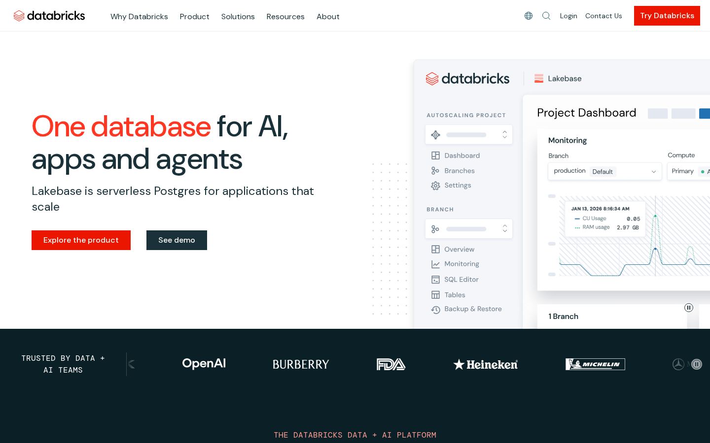 Databricks screenshot 1