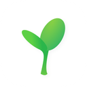 Understory Notes logo — Notes that tell the tale