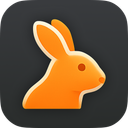 RabbitGUI logo — The RabbitMQ IDE for developers.